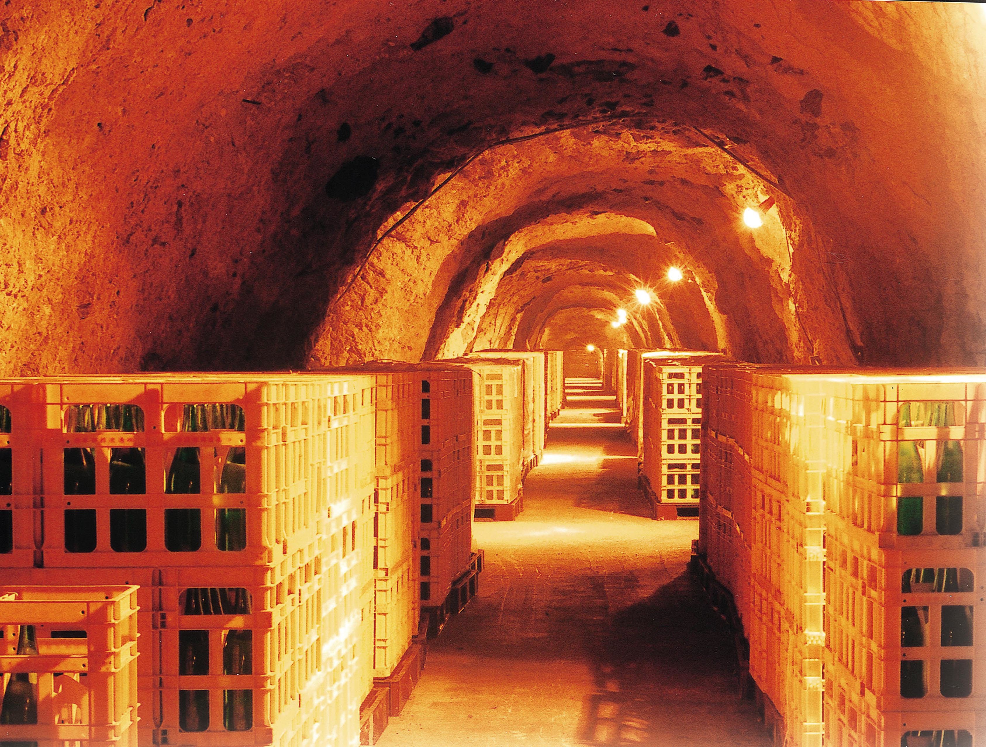 注目のハーブ!ローゼルを楽しむメニューが登場!
東京・仙台のフルーツパーラーでコラボメニューを提供開始