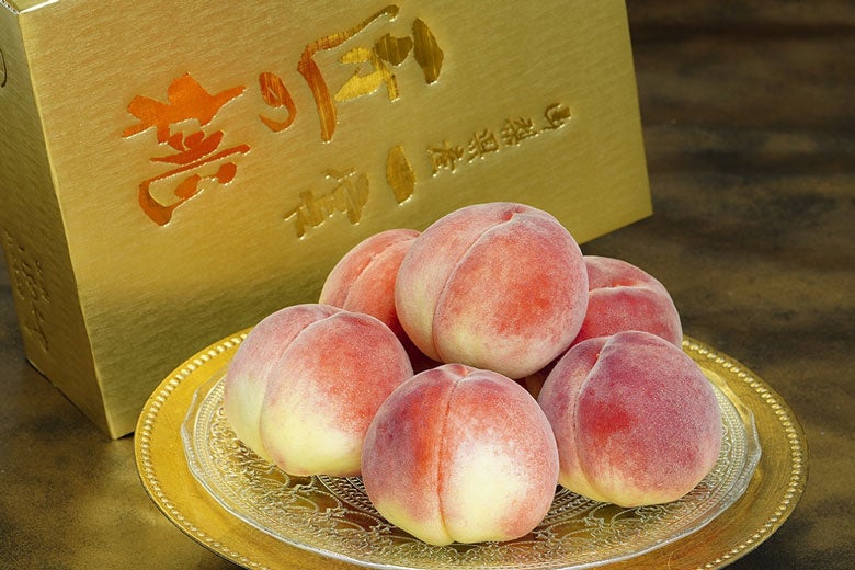 ＼ヨシケイセレクト5周年記念企画／真の人気No.1を決める！「ヨシケイセレクト総選挙」実施！