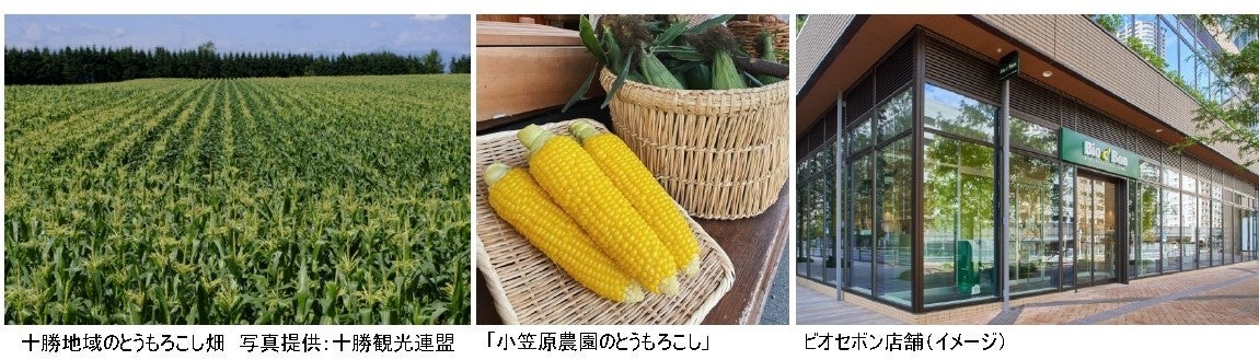 日本橋コレド室町内にて、新潟で人気のカヌレ専門店
「Canele de CHIANTI」が2022年8月1日(月)にオープン