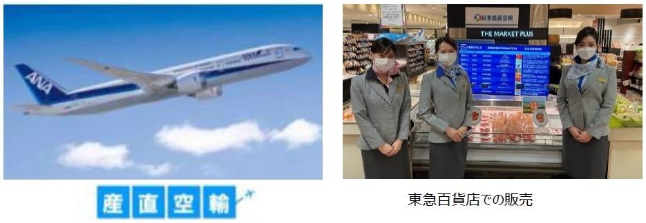 東急㈱グループがANAグループ、日本産直空輸と「産直空輸」で連携強化