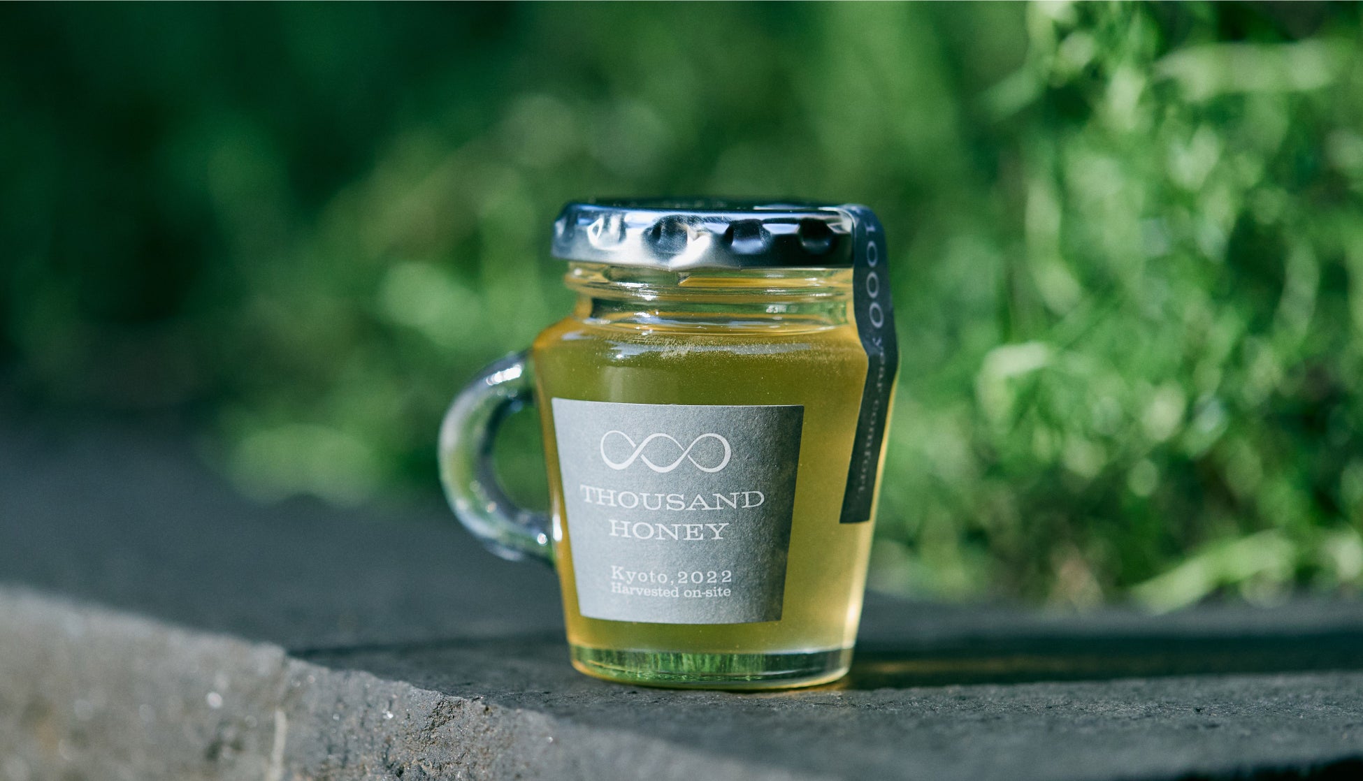 開業5周年を記念した“ストリングス ベア”が テーブルでお出迎え！『バイオレット アフタヌーンティー with ストリングス ベア』が新登場