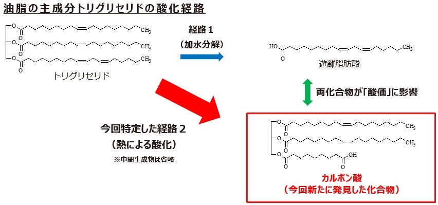 「魚料理は食べ応えがない」は卒業！魚と野菜で作る簡単ワンプレートメニュー用調味料「VegesFish（ベジズフィッシュ）」 新発売