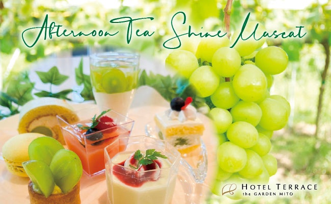 ジェンダーレスにZ世代からの若年層をデパコスで取り込む　松屋銀座　１階化粧品売場　改装　2022年8月17日(水)最多オープン