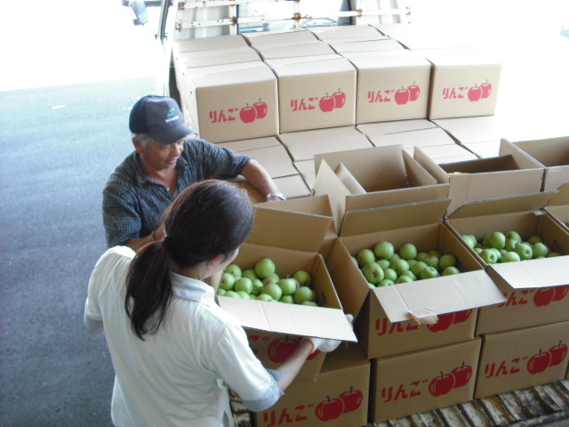 破棄されるはずの「摘果リンゴ」が、地域を挙げ有効活用　
2022年の集荷作業が8月に入り本格化