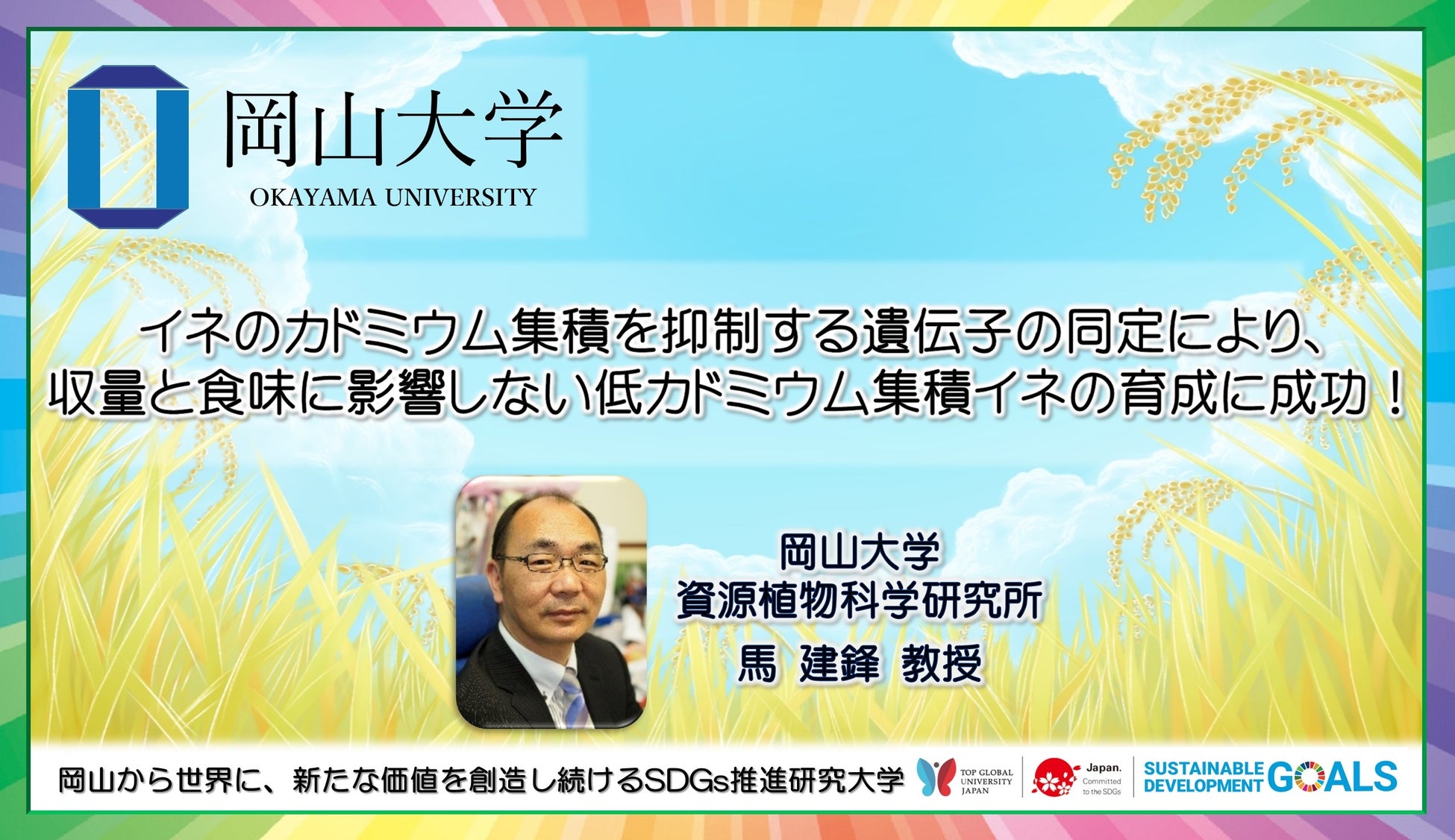 【岡山大学】イネのカドミウム集積を抑制する遺伝子の同定により、収量と食味に影響しない低カドミウム集積イネの育成に成功！