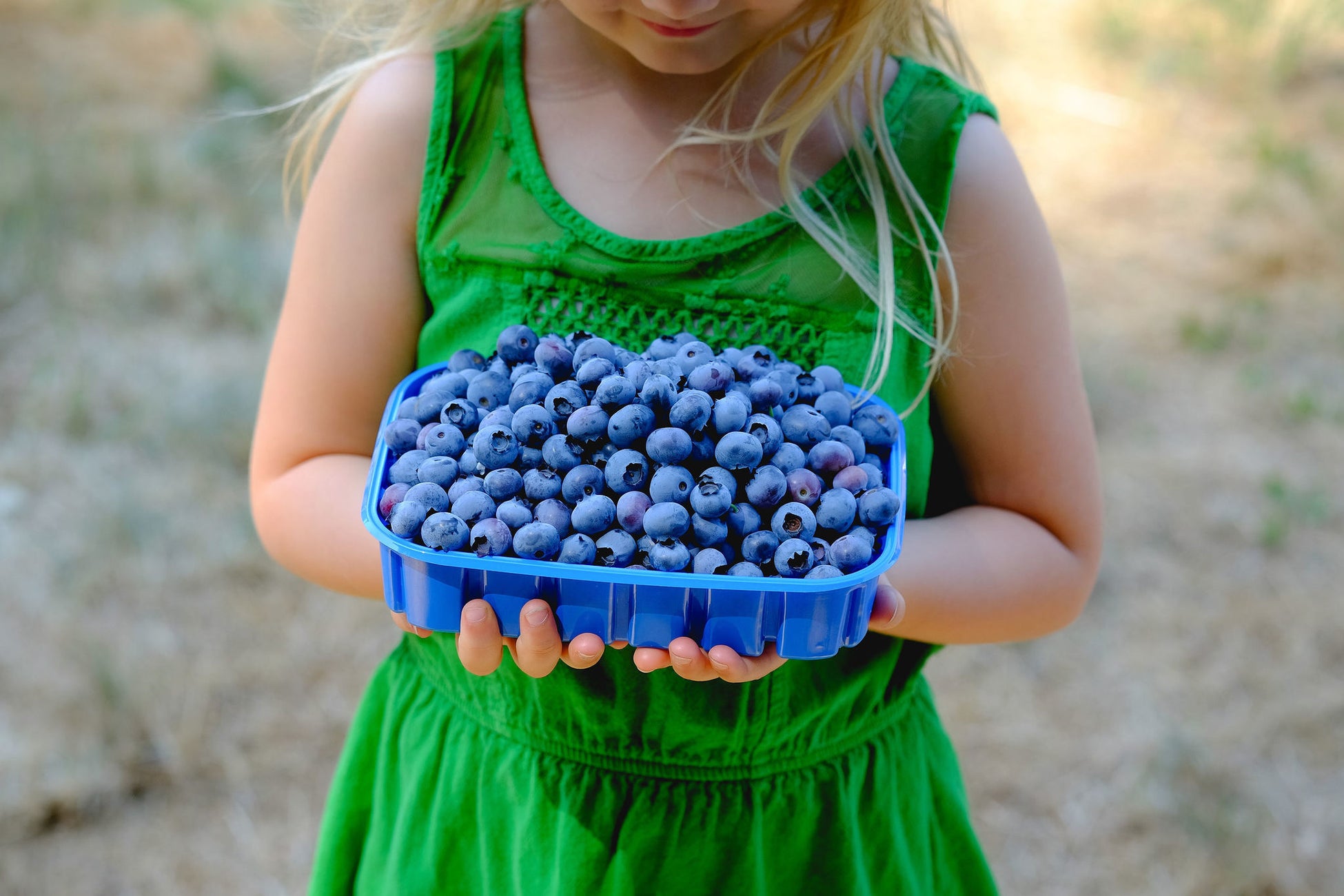 【オンライン内定式】学生に大人気の韓国料理を1箱に詰めた新プランが、nonpi foodbox™より8月30日販売開始!5,000社が使う簡易注文システム・個別配送・一括請求で幹事の悩みもまるっと解決