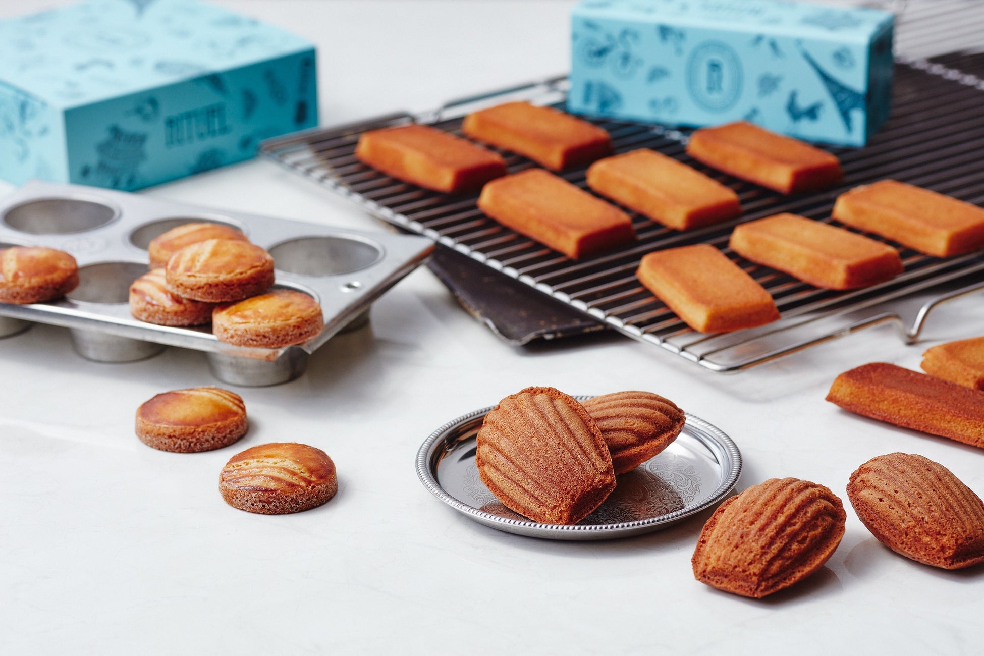 プロゴルファー 菅沼菜々選手とのスポンサー契約を締結