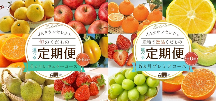 九州産さつま芋「紅はるか」×北海道産フレッシュバター！濃厚な味わいがやみつきになる「九州ナボナ薩摩芋とバター」発売【 亀屋万年堂 】