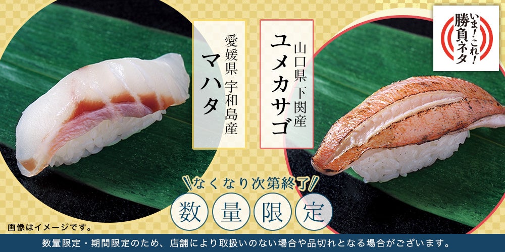 「銀のさら」が“旬”で美味しい魚を新鮮なままお届け！ 『宇和島産 マハタ』と『下関産 炙りユメカサゴ』を数量限定で販売