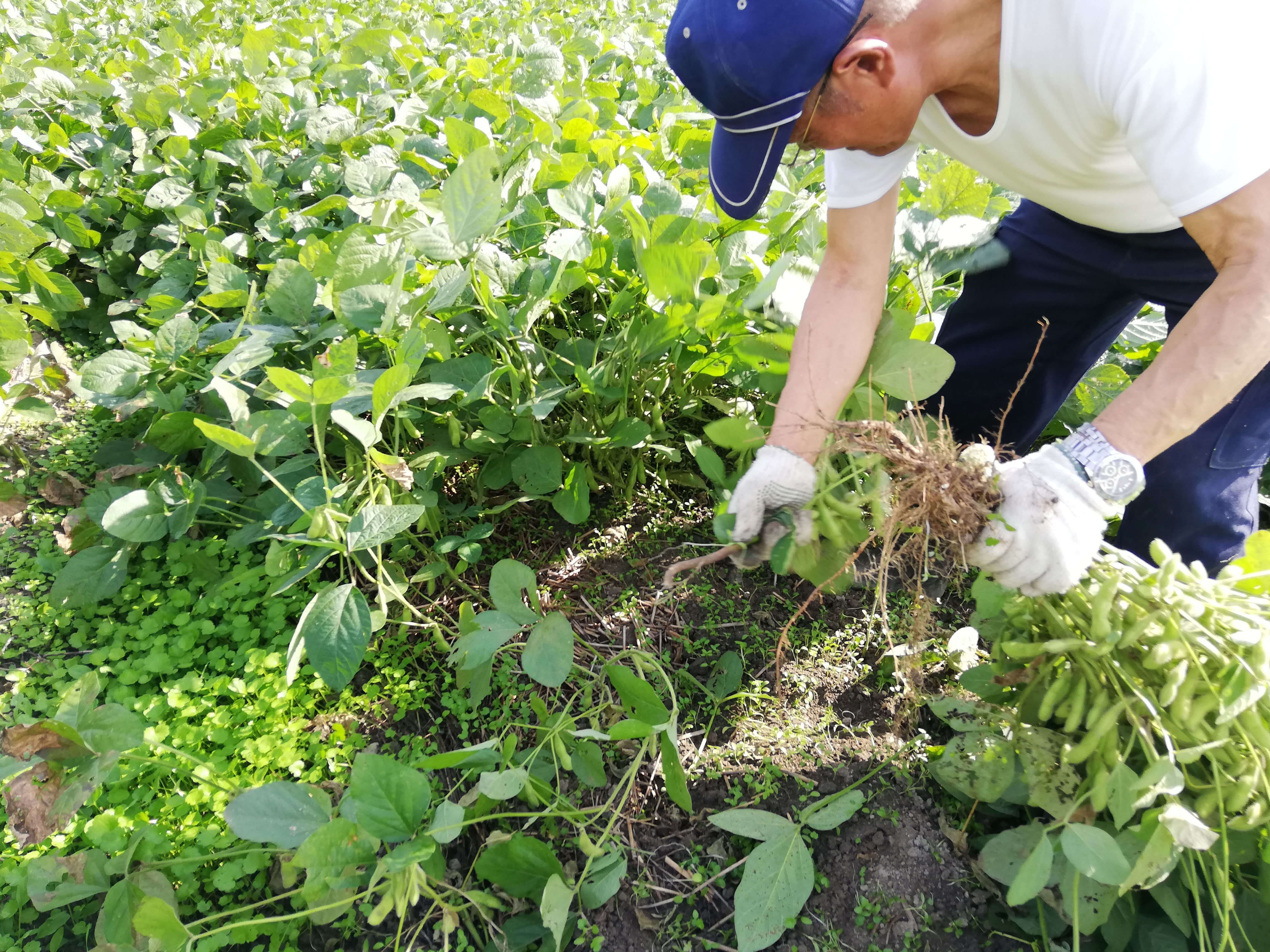 食べものやスイーツに合わせて組み合わせを楽しむ紅茶　フードペアリングを楽しめる3種類のブレンド紅茶で贅沢なティータイムを　「Théand（テアンド）」全3種新発売