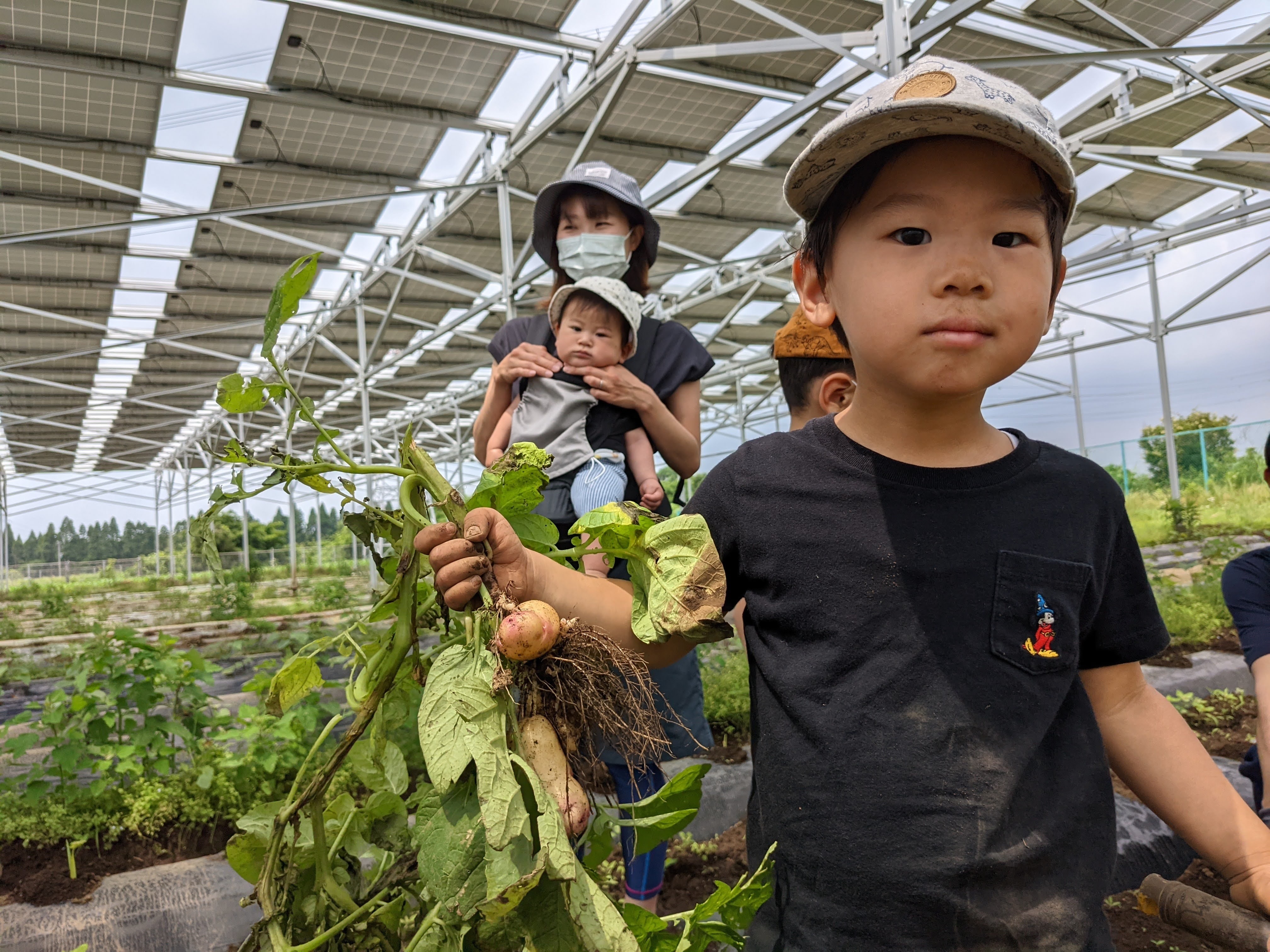 業界初！
水炊きの旨味を向上させるスープ製法で特許を取得　
水炊きに求められる具材本来の旨味を向上させるスープを開発