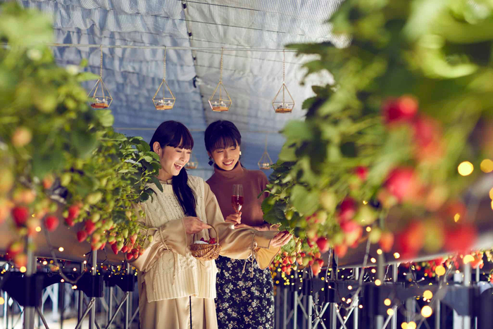 大丸松坂屋オンラインストア限定！＜N.Y.C.SAND＞から大丸東京店の誕生祭を記念した限定ギフトボックス登場