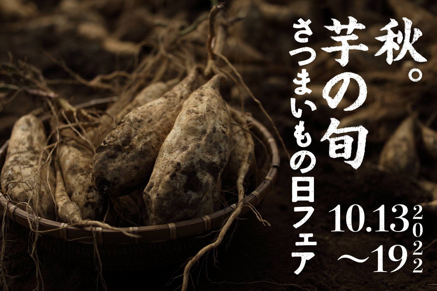 目標はギネスに挑戦！？落花生で千葉県を盛り上げる“いただきます、やますの日”まつり