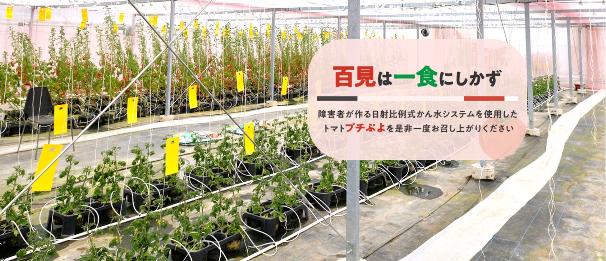 10月26日(水) 松阪牛しゃぶしゃぶ料亭【赤坂 金龍】
港区赤坂にてプレオープン!