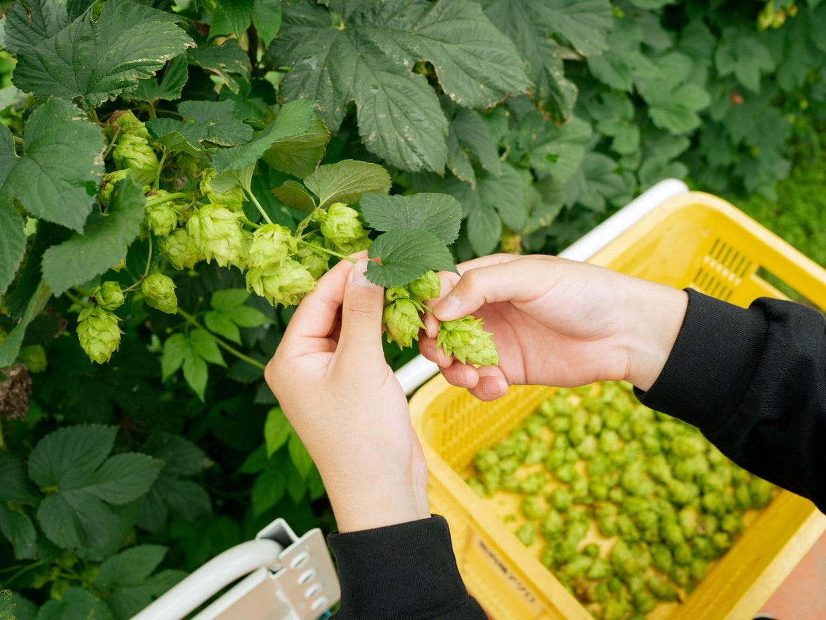 【クリスマス限定アフタヌーンティー＆カクテル新登場】サンタクロースやトナカイ、雪だるまなどをかわいらしいスイーツで表現する「クリスマスアフタヌーンティー」 ～小田急ホテルセンチュリーサザンタワー～