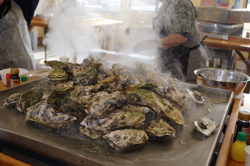 鈴木善幸さんの地元、岩手県山田町では牡蠣が旬を迎えました！「山田かき小屋」では、蒸し焼き牡蠣の食べ放題が１０月２９日（土）から始まります