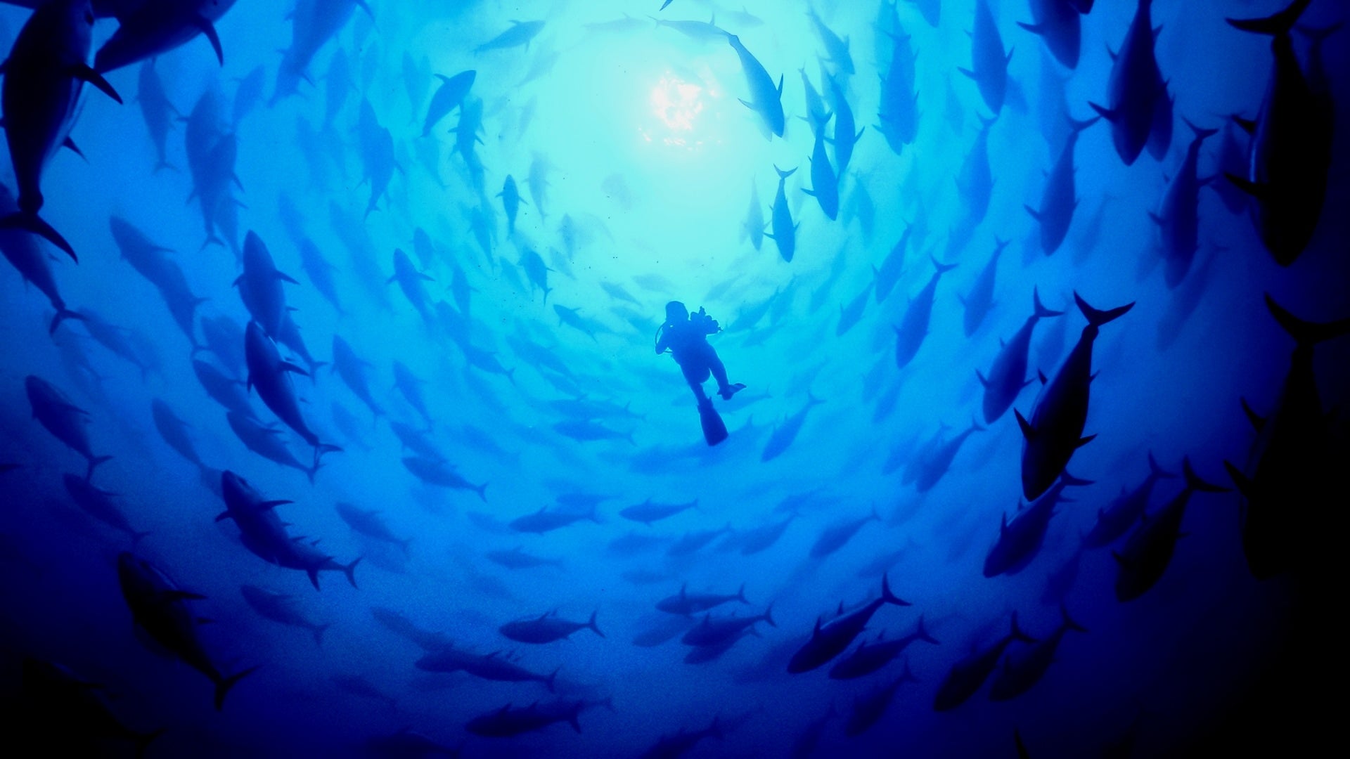 サウナスイートキャビン × COEDOビールサウナ上がりに楽しむ「0秒ビールサーバー」提供開始