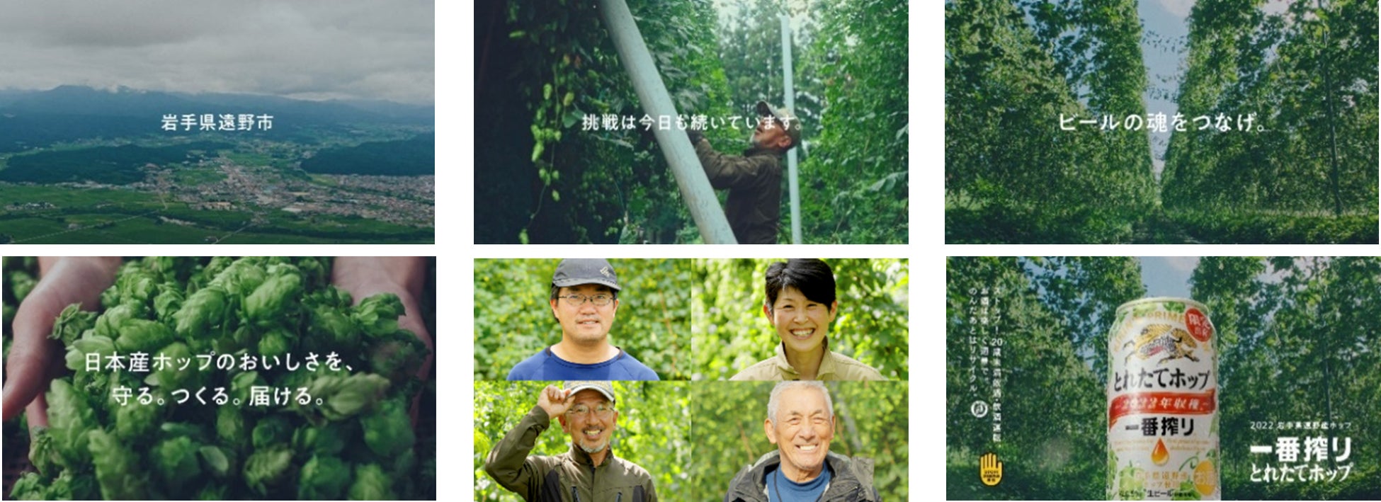 バスク&レアチーズケーキ風味とまったり甘いイチジク風味リボンの美味しい出会い!「フィグ ベイクド チーズケーキ」