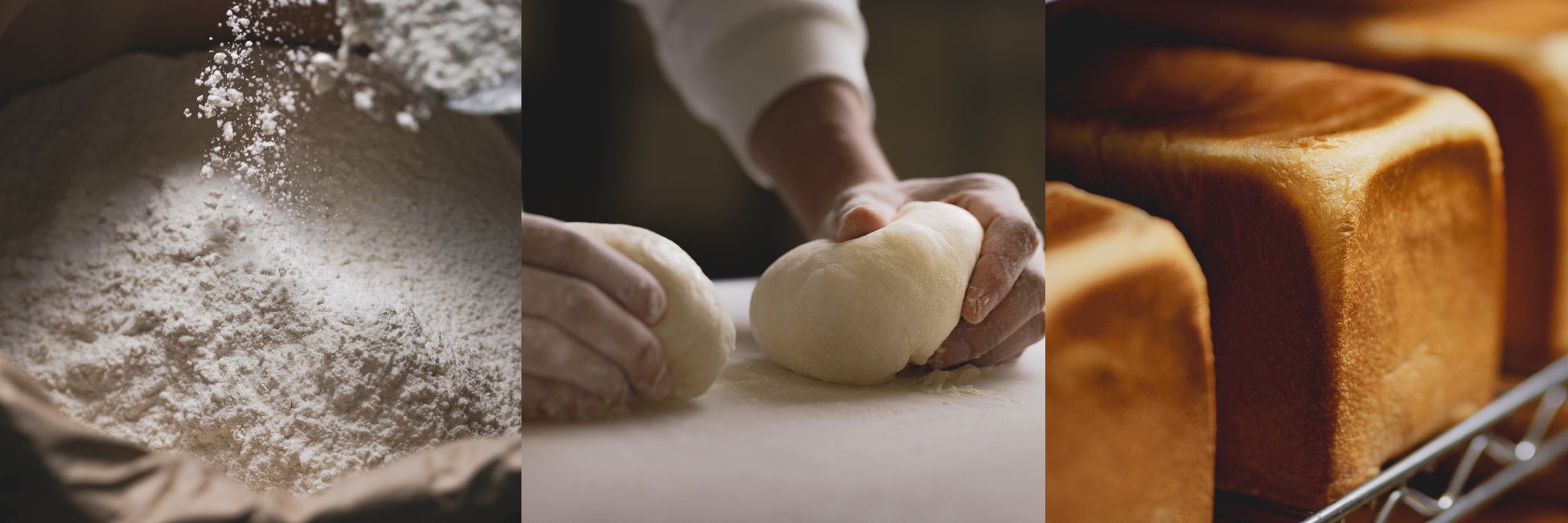 「乃木坂46 おとな選抜」を起用したキャンペーン第2弾キャンペーン