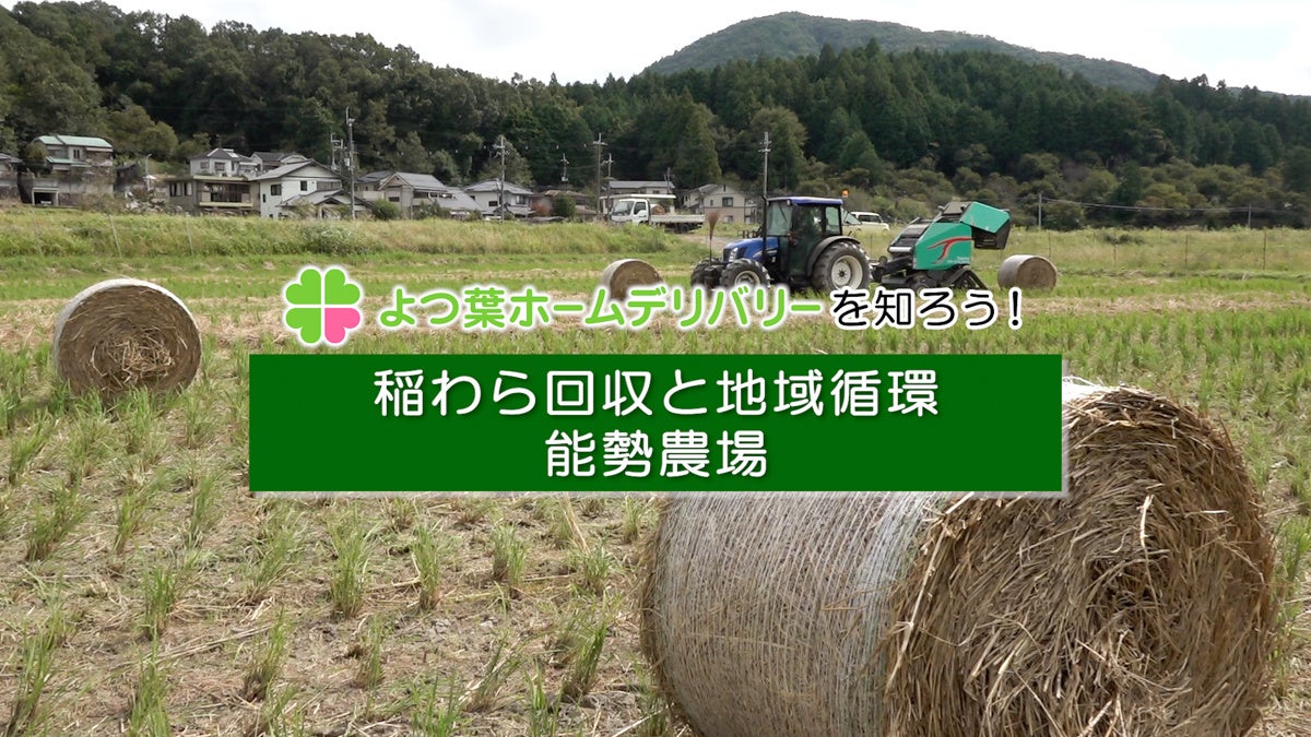 よつ葉 Christmas Marche 開催！