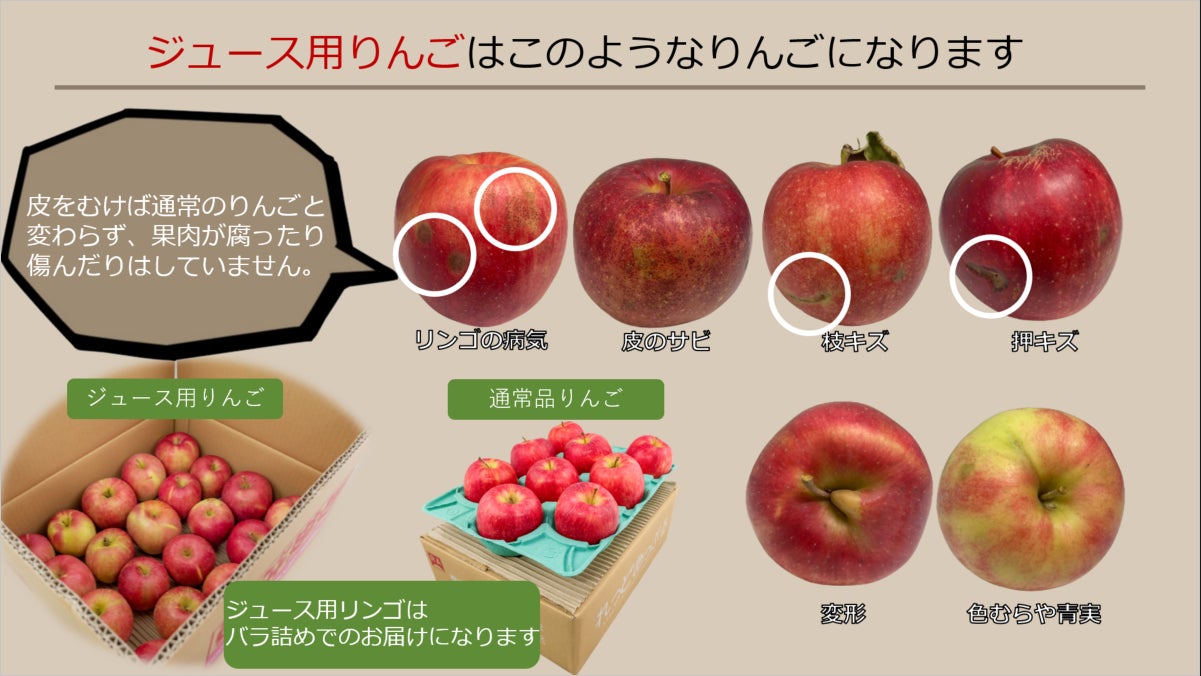 『期間限定　ちいかわ じゃがいものポタージュ』『期間限定　ちいかわ かぼちゃのポタージュ』2022年11月14日（月）～2023年2月28日（火） 期間限定発売（※）