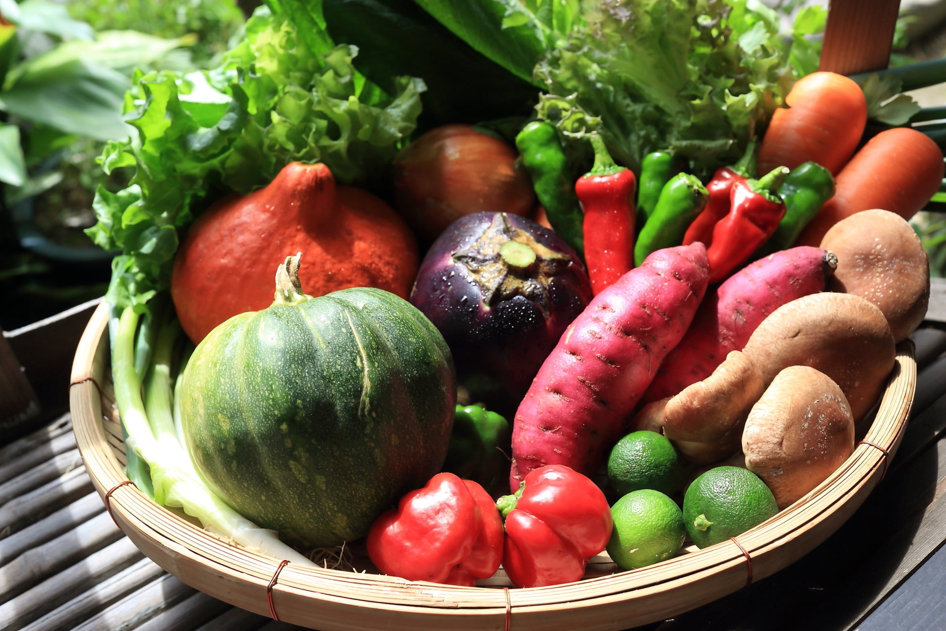 「クッキーがおいしくなる袋」がマクアケプロジェクト開始