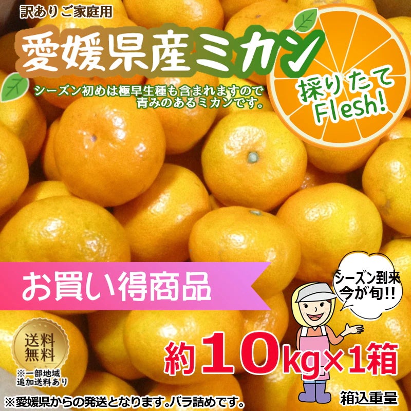 秋の味覚の代表「きのこ」？　それとも「野菜」でヘルシー！？香港発のスパイスヌードルで美味しく味わおう「秋のタムジャイ」　期間限定で登場！