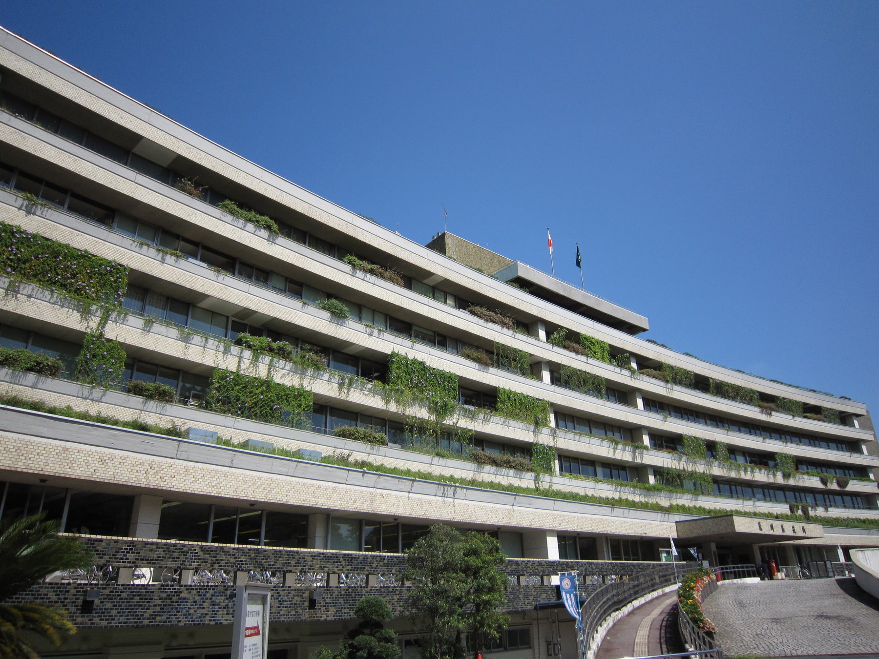 【待望の常設店へ】本格りんご飴専門店「代官⼭Candy apple 舞浜イクスピアリ店」が2022年11月18日（金）にグランドオープン！！