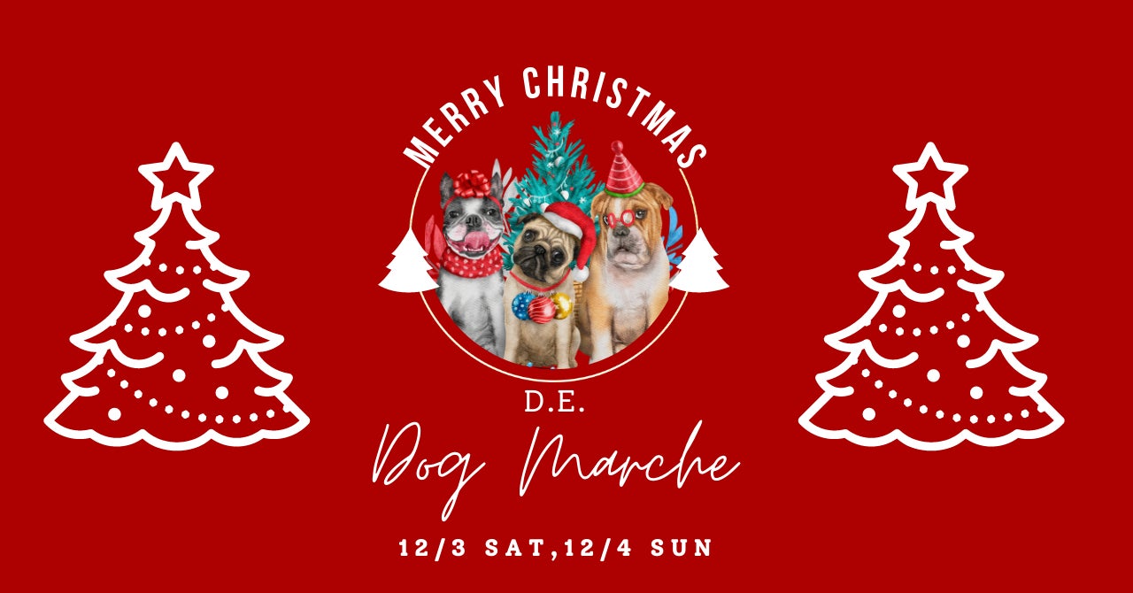 渋谷キャスト2022年11月17日（木） 冬のイルミネーション点灯スタート！12月17日(土)・18日（日）クリスマスフェス「SHIBUYA赤鼻祭」開催