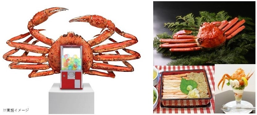 2023年の干支「卯」（うさぎ）をモチーフにしたおめでたいおかき、干支おかき（卯）を発売いたします。