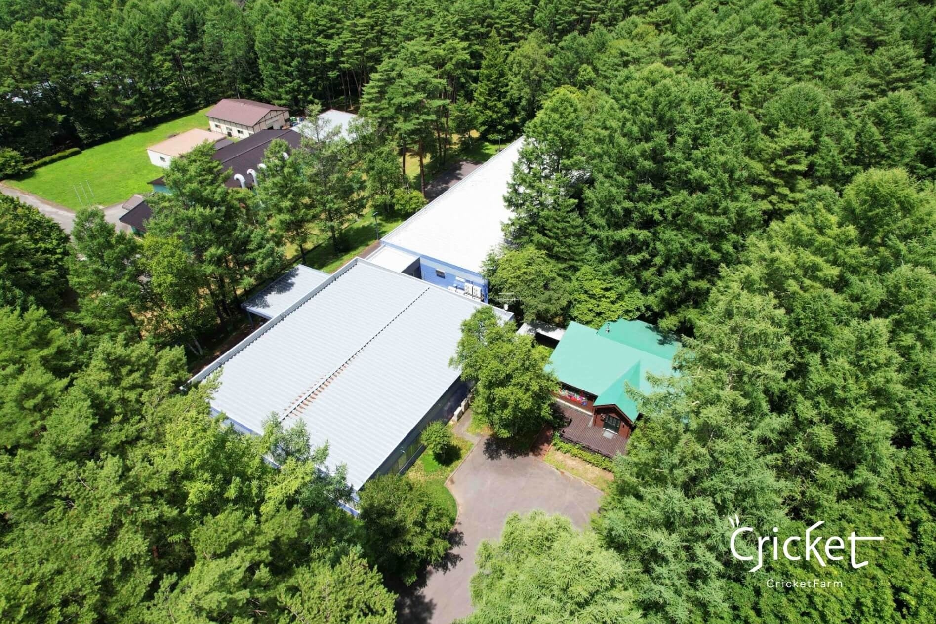 【松屋】昨年好評だったメニューがパワーアップ！「黒毛和牛入り粗挽きハンバーグのビーフシチュー」 発売