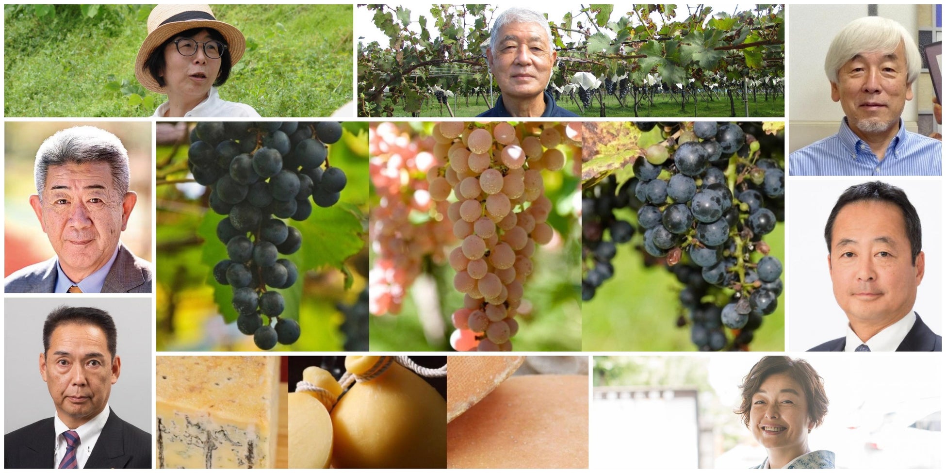 【今注目の日本ワイン】日本が誇る日本固有のブドウ品種とそのワインの可能性と未来について考えるサミットを12月10日（土）に東京・永田町で開催