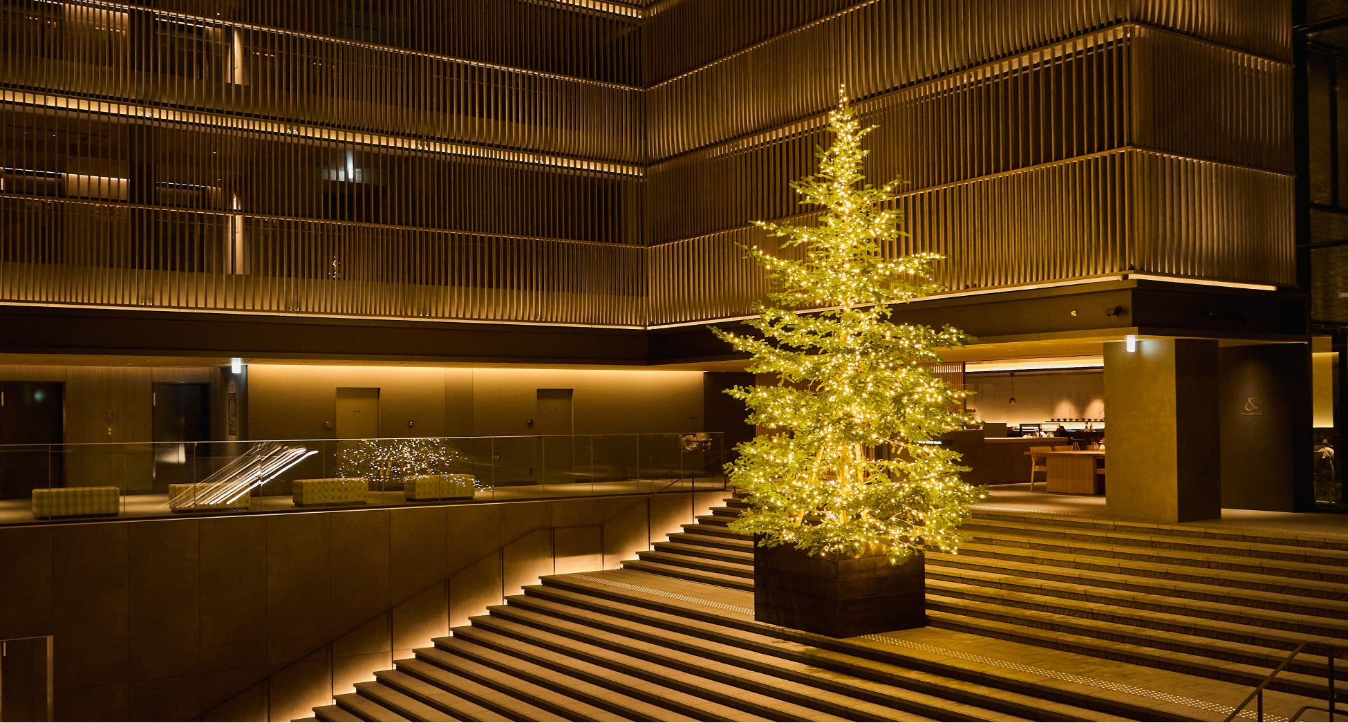 【THE THOUSAND KYOTO】吹き抜けのロビー大階段に 約7ｍの「生モミの木」クリスマスツリーが登場