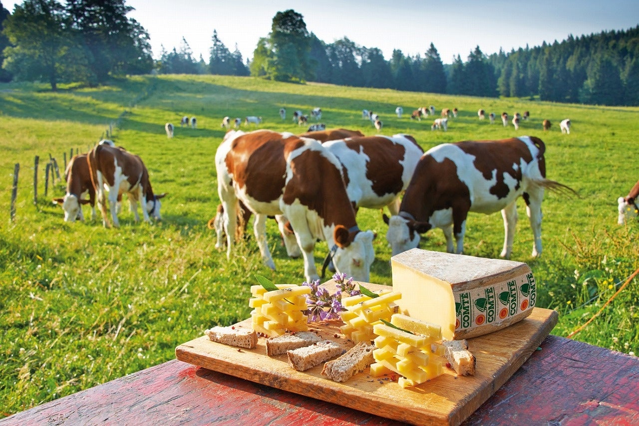 観光PRイベントにて、フランス産チーズ「コンテ」をアピール