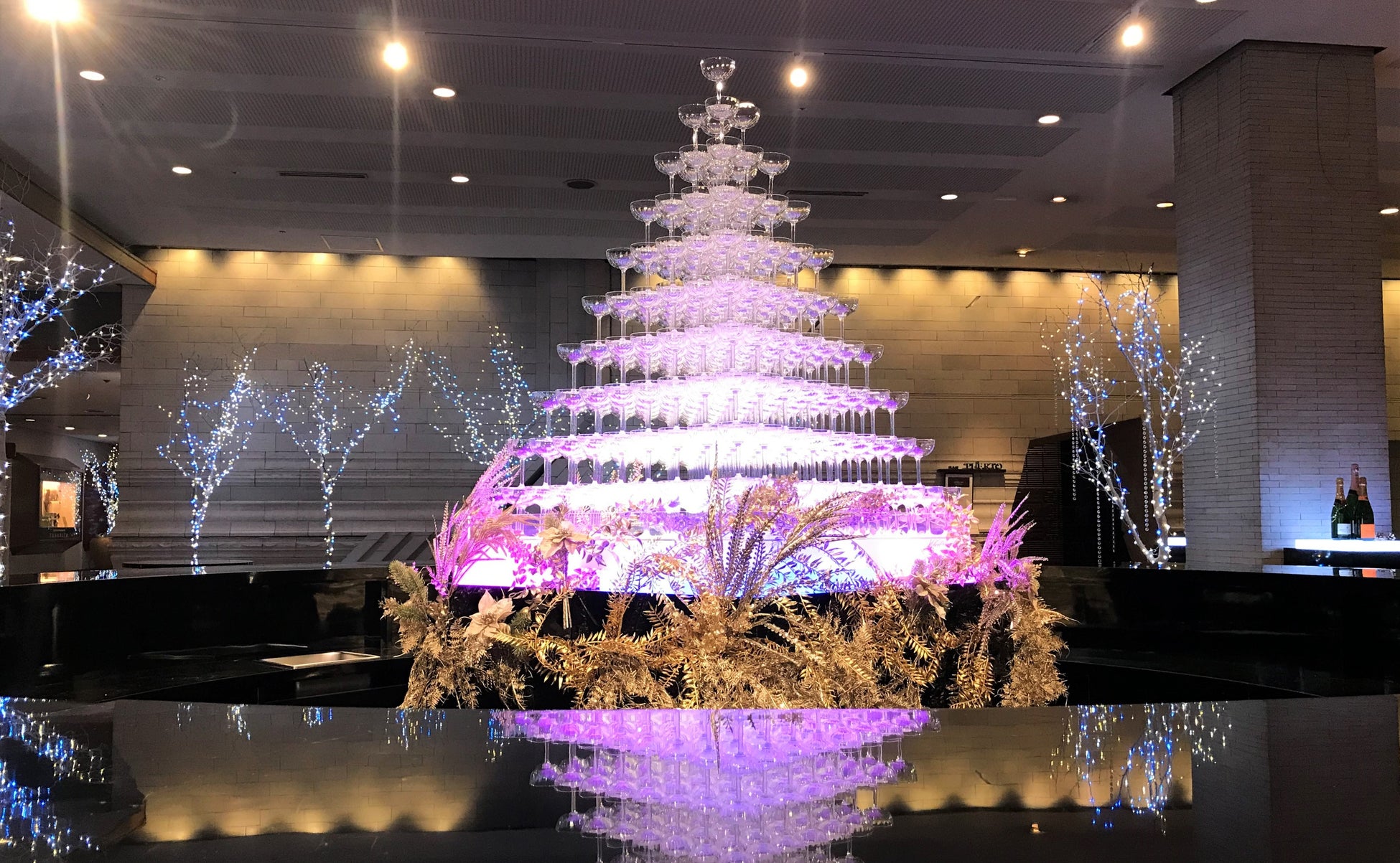 瞳に映るすべてが瞬く、『Brilliant Christmas』（ブリリアント　クリスマス）名古屋観光ホテル　クリスマスプロモーションを12月25日まで開催中。