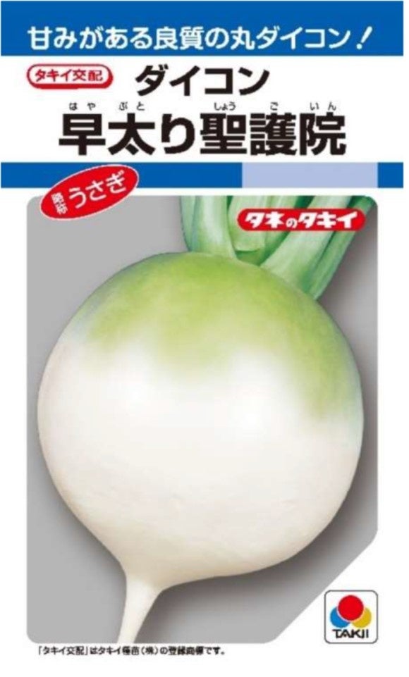 「かどやの純正ごま油」を使ったポテトチップスが新登場！有明海産焼きのりと沖縄県製造の海塩で風味を引き立てた『ポテトチップス のりしおとごま油味』