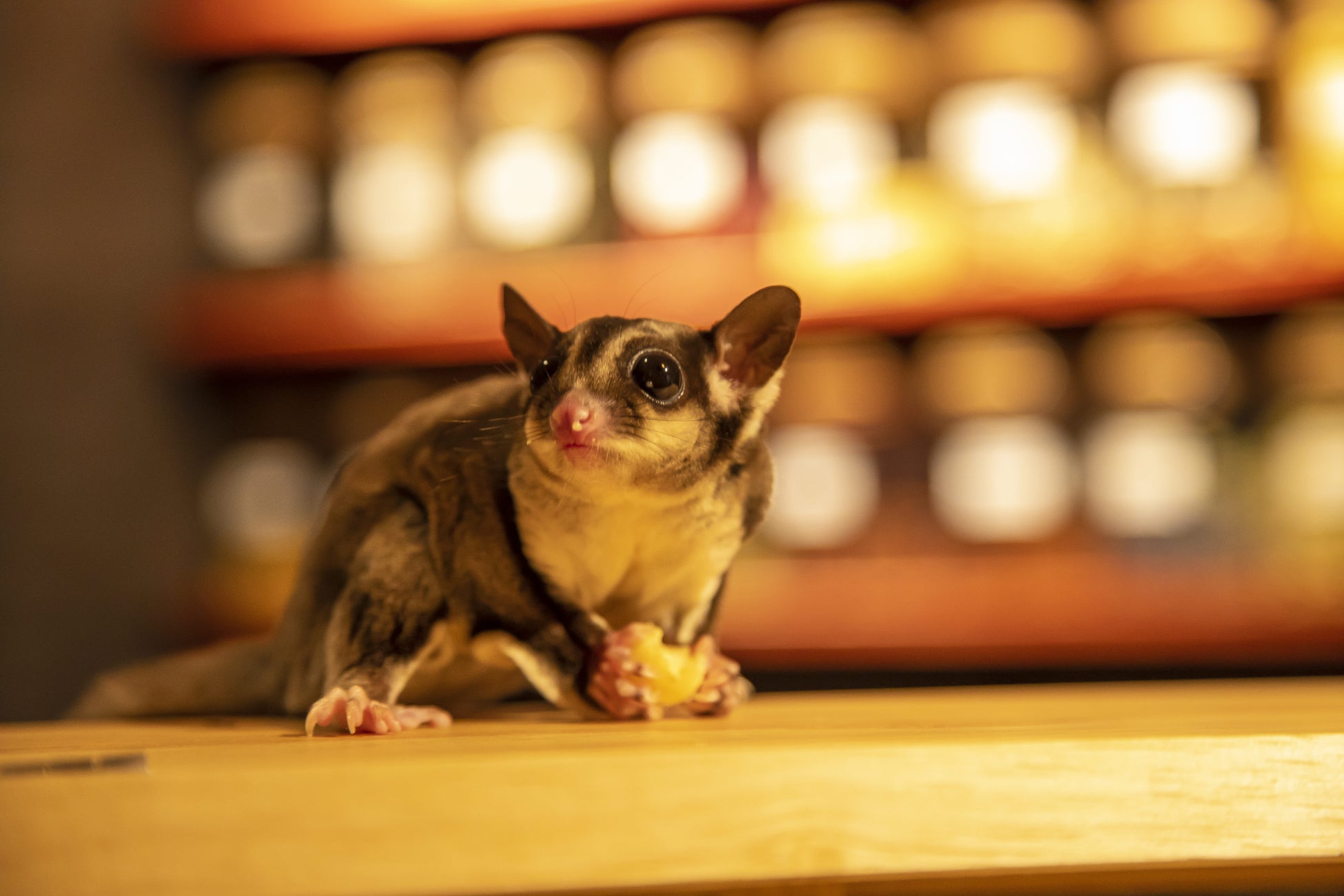 トリドールホールディングスが「2022年度IT賞」において最高評価である「IT最優秀賞」を受賞