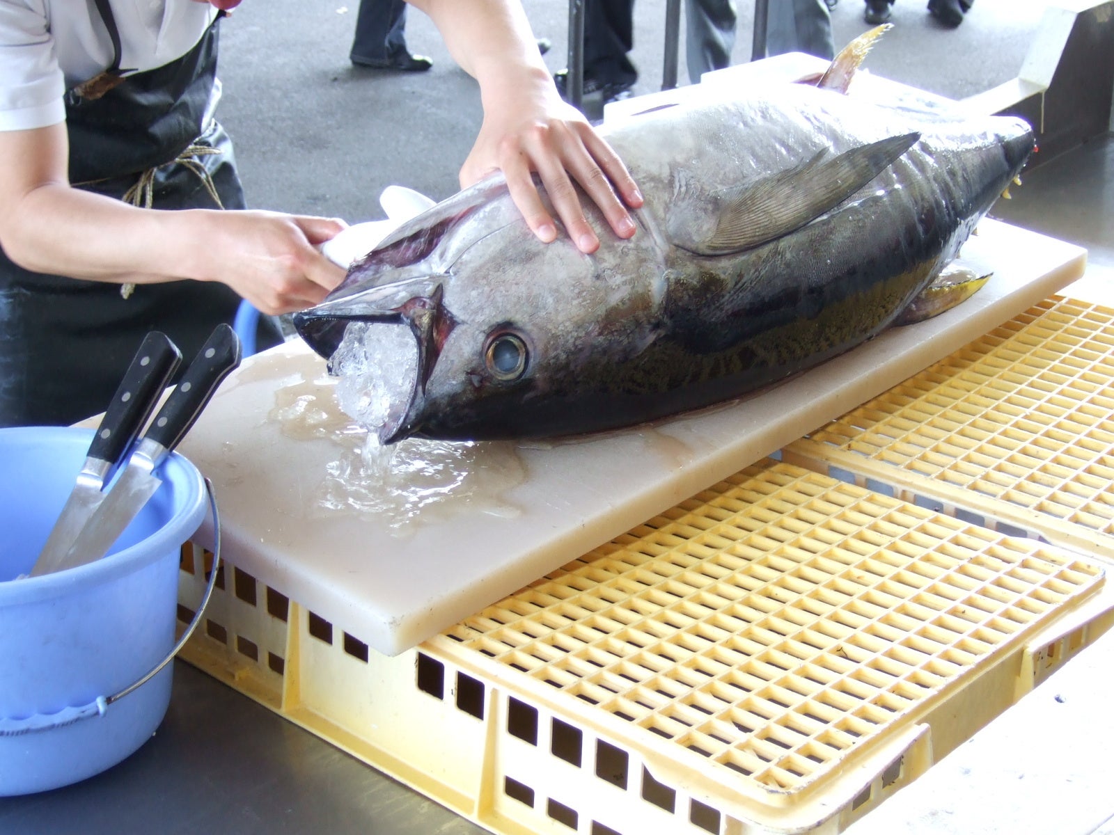 2022年の感謝を込めて！新鮮魚介を心ゆくまで堪能できる、選べる豪華海鮮鍋の宴会コースを期間限定で『アカマル屋鮮魚店』からお届け！