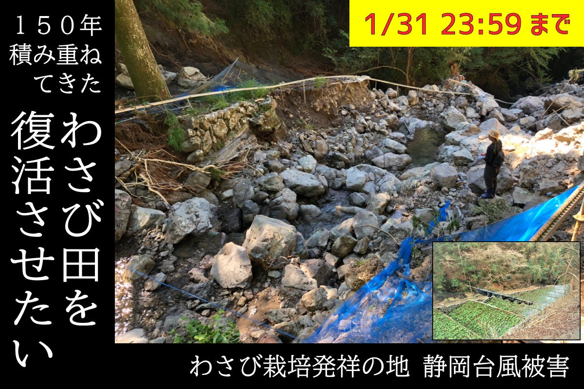 株式会社フーディソン東京証券取引所グロース市場への新規上場のお知らせと創業者からのご挨拶