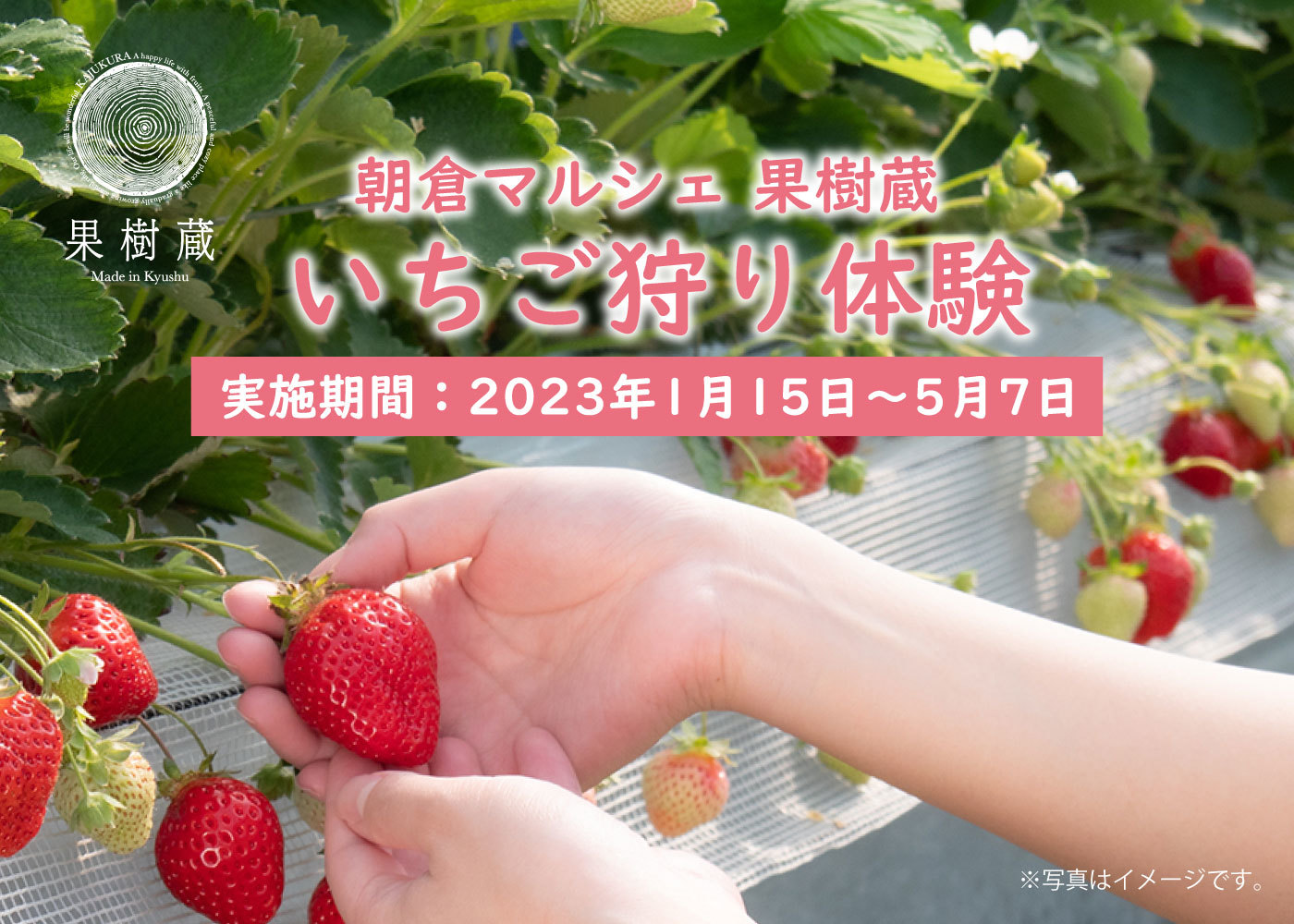 ロース値下げキャンペーンが大好評につき期間延長2023年もやっぱります！ 続・肉客大感謝祭。2023年もお得にロースステーキが食べられます！