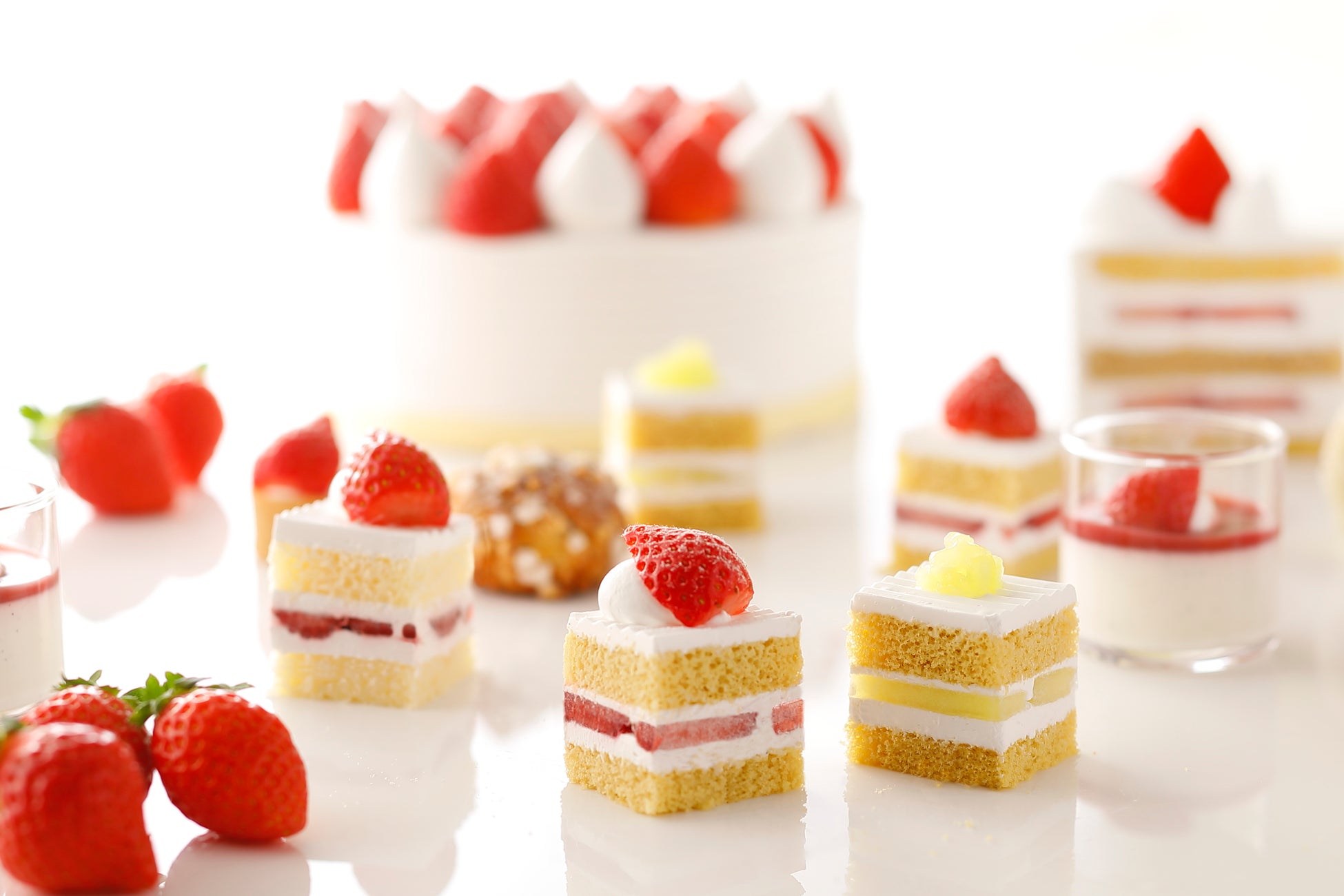 毎年完売の「シェイク シャック福袋」。2023年はアーティストSNEAKERWOLFとのコラボでグッズとバーガーチケットを販売！