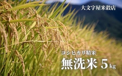 主夫・主婦の皆さま応援！ふくしまの「無洗米」。この冬福島市ふるさと納税に初登場！
