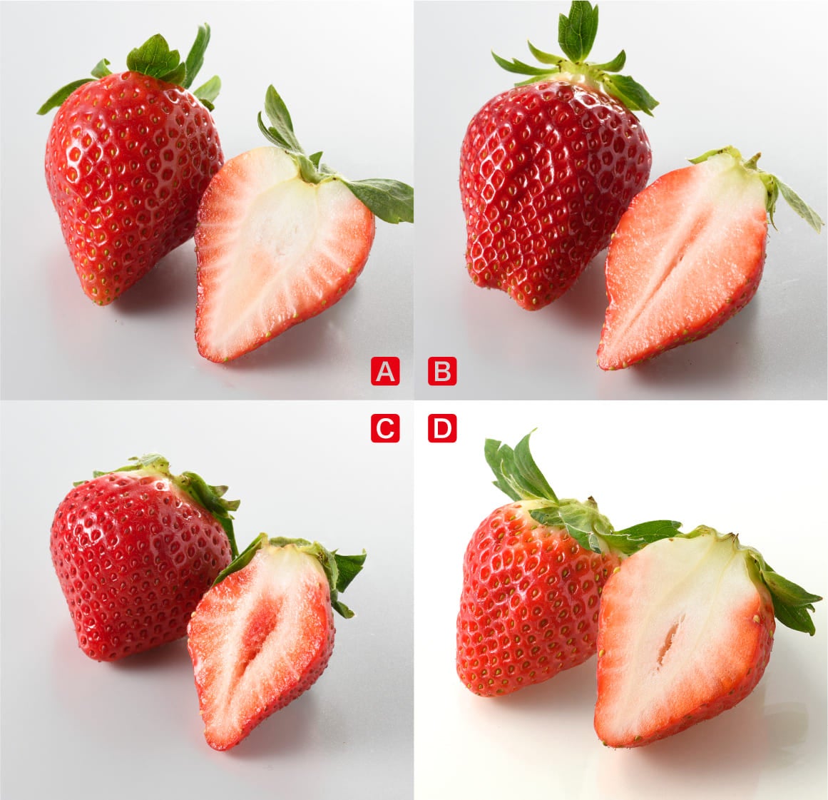 新春を祝う「春の七草」を手軽にいつものコンビニで!『春の七草セット』を1月5日(木)発売