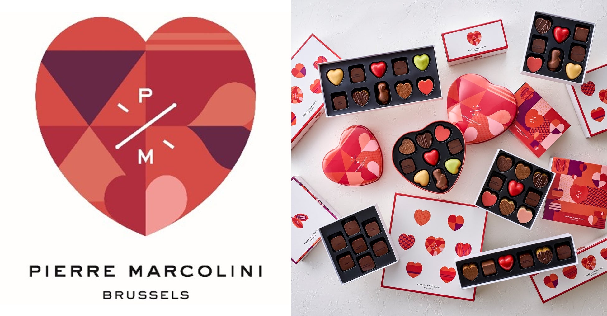 ヴァイオリニストNAOTOさんが全面監修の『スープカレー本』1/24発売