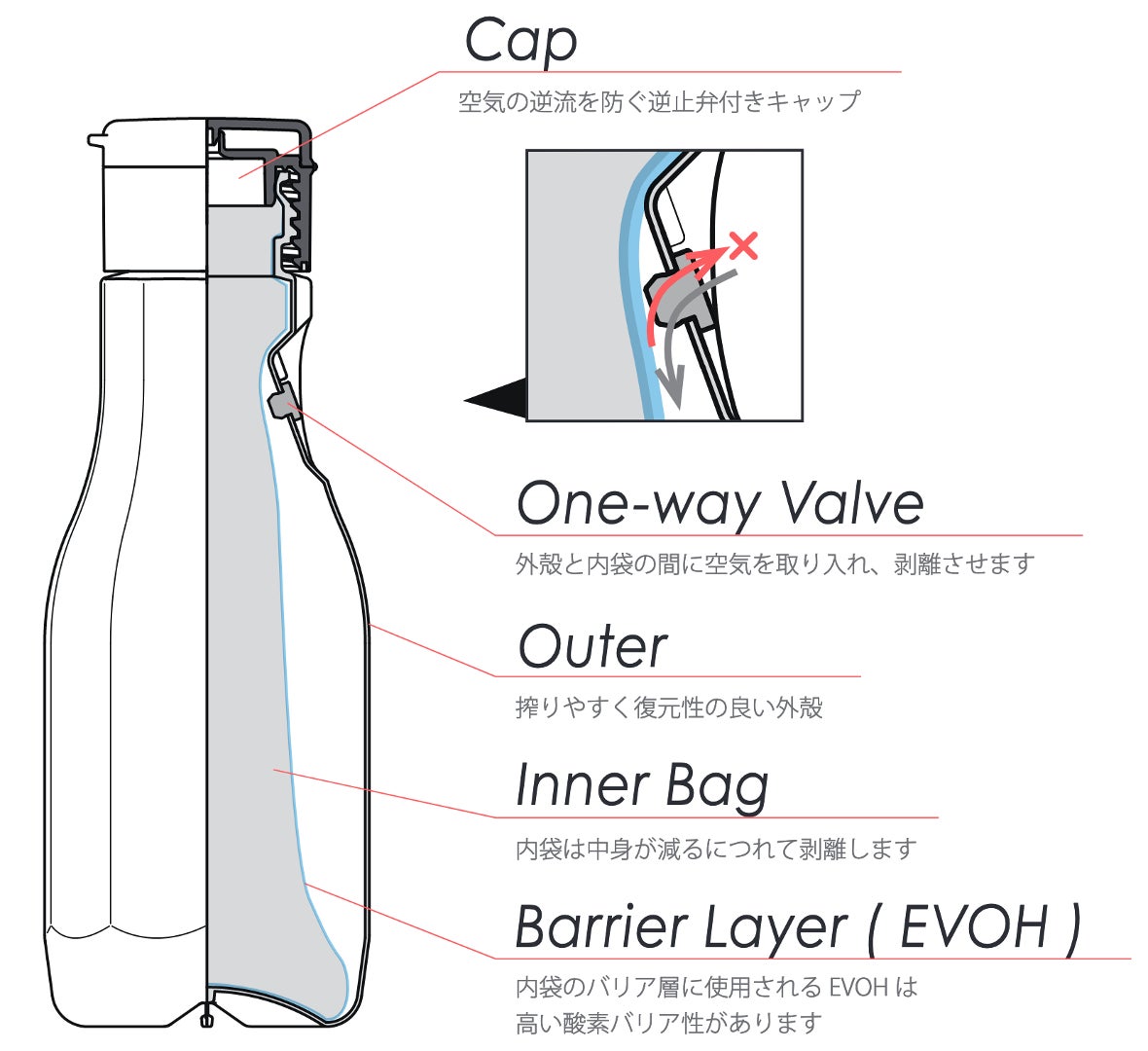 【2週間限定】1年で特にあま～い、ケール葉の販売を開始！ 旬の採れたてケールをキューサイファーム島根から直送