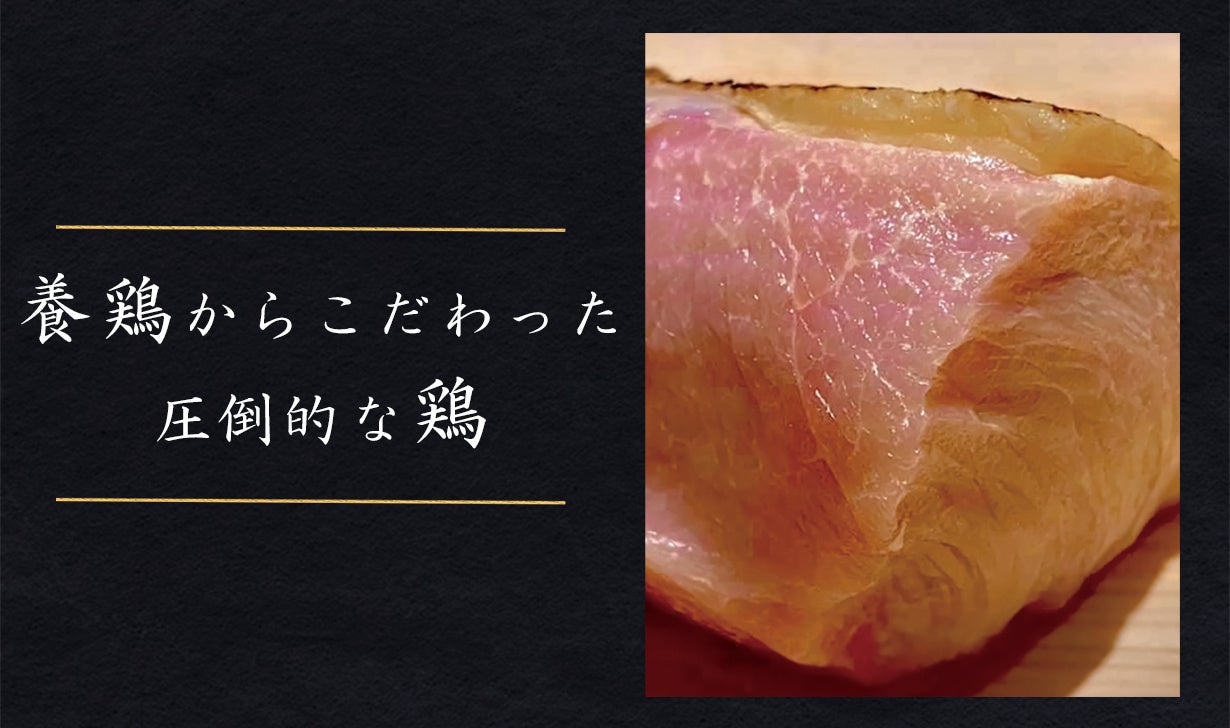 【猫の日記念】『東京ばな奈ぶにゃんこ』が通販に初登場！インスタグラムでは“ぶにゃんこAR”も配信開始。LINEスタンプにも参上～！