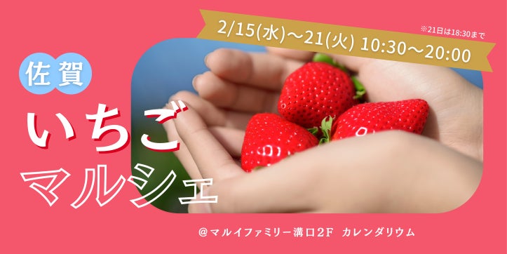 佐賀県のおいしいいちごが大集合！「佐賀いちごマルシェ」をマルイファミリー溝口で期間限定開催！