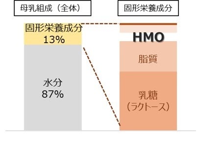 サクサクシュワッと、まろやかな口どけスナック菓子「くちどけ小路サクまろ」に新たな定番フレーバー〈チーズ味〉登場