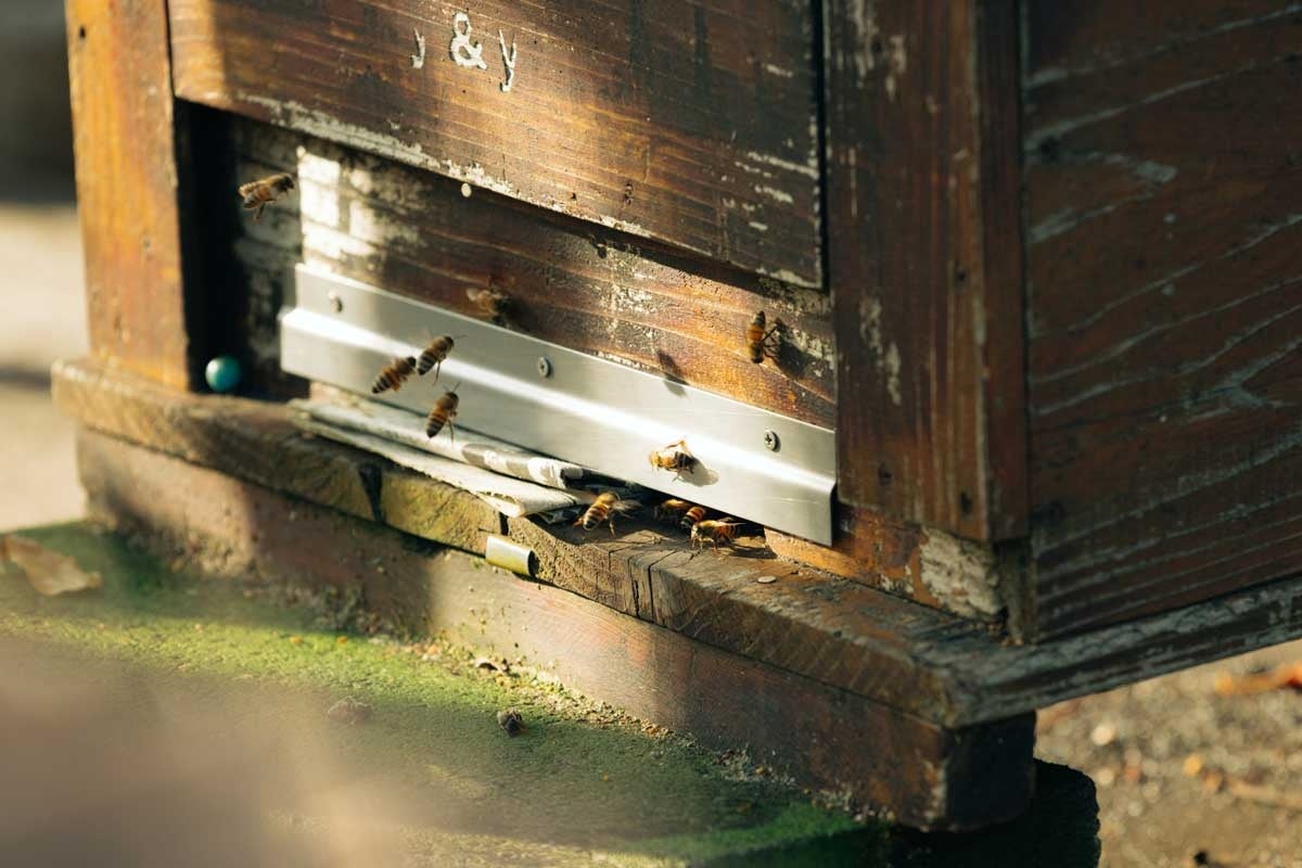 ＜Qoo10 「のり・海藻類」販売数ランキング＞今が旬のヘルシー食材！有明海産の焼き海苔が人気