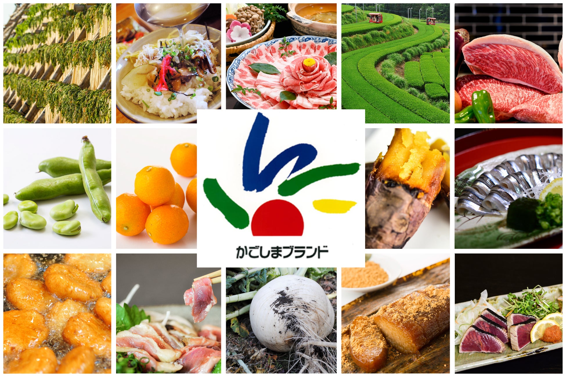 福岡の調理師専門学校生が九州の食に挑む。鹿児島食材を使った新メニュー開発を産学官連携で実践。